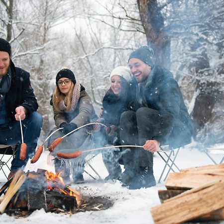 Forest Chalet, 15 Min To Salzburg Olt Town, And Most Beautiful Lakes, Secluded Location, 1,000 Sqm Garden, Mountainview, Panorama Sauna, Bath Whirlpool, Bbq&Bikes&Sunbeds For Free, Up To 10 P Golling an der Salzach Exteriör bild