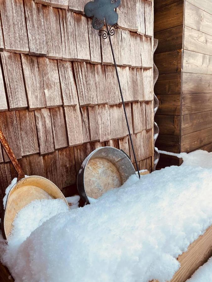 Forest Chalet, 15 Min To Salzburg Olt Town, And Most Beautiful Lakes, Secluded Location, 1,000 Sqm Garden, Mountainview, Panorama Sauna, Bath Whirlpool, Bbq&Bikes&Sunbeds For Free, Up To 10 P Golling an der Salzach Exteriör bild