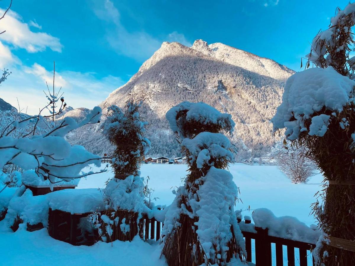 Forest Chalet, 15 Min To Salzburg Olt Town, And Most Beautiful Lakes, Secluded Location, 1,000 Sqm Garden, Mountainview, Panorama Sauna, Bath Whirlpool, Bbq&Bikes&Sunbeds For Free, Up To 10 P Golling an der Salzach Exteriör bild
