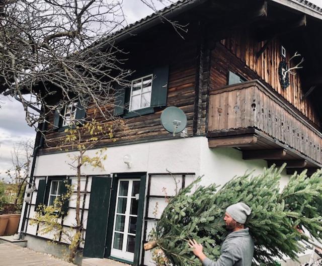 Forest Chalet, 15 Min To Salzburg Olt Town, And Most Beautiful Lakes, Secluded Location, 1,000 Sqm Garden, Mountainview, Panorama Sauna, Bath Whirlpool, Bbq&Bikes&Sunbeds For Free, Up To 10 P Golling an der Salzach Exteriör bild