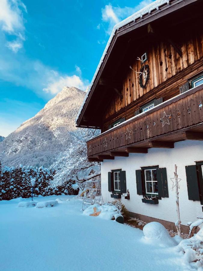 Forest Chalet, 15 Min To Salzburg Olt Town, And Most Beautiful Lakes, Secluded Location, 1,000 Sqm Garden, Mountainview, Panorama Sauna, Bath Whirlpool, Bbq&Bikes&Sunbeds For Free, Up To 10 P Golling an der Salzach Exteriör bild