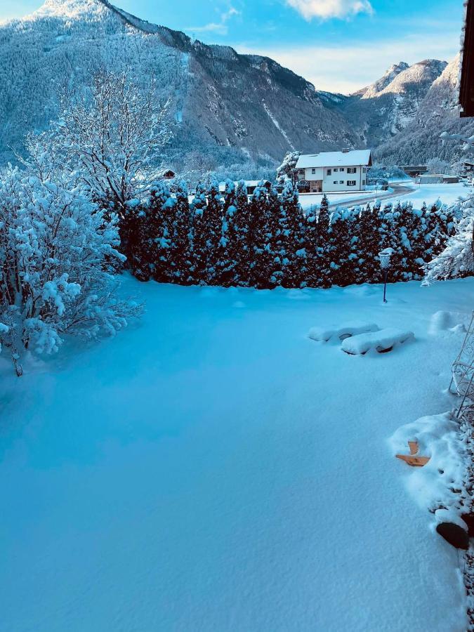 Forest Chalet, 15 Min To Salzburg Olt Town, And Most Beautiful Lakes, Secluded Location, 1,000 Sqm Garden, Mountainview, Panorama Sauna, Bath Whirlpool, Bbq&Bikes&Sunbeds For Free, Up To 10 P Golling an der Salzach Exteriör bild