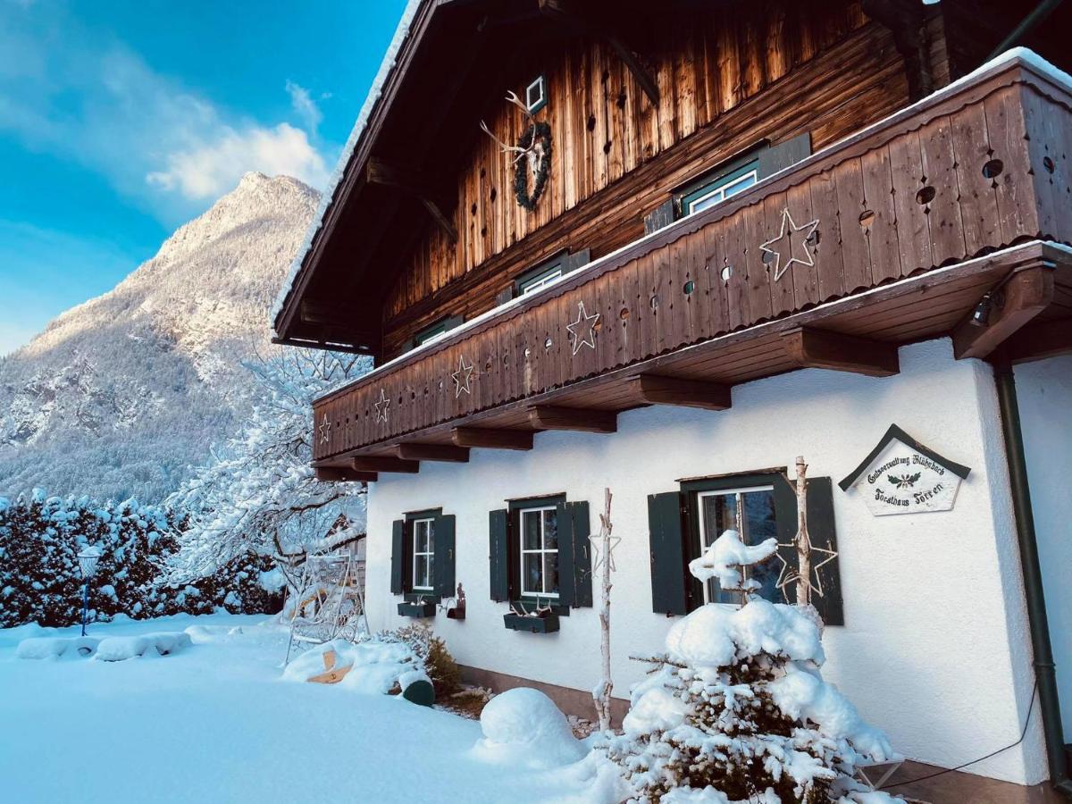 Forest Chalet, 15 Min To Salzburg Olt Town, And Most Beautiful Lakes, Secluded Location, 1,000 Sqm Garden, Mountainview, Panorama Sauna, Bath Whirlpool, Bbq&Bikes&Sunbeds For Free, Up To 10 P Golling an der Salzach Exteriör bild
