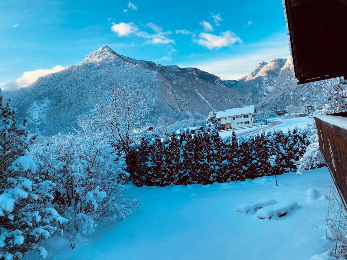 Forest Chalet, 15 Min To Salzburg Olt Town, And Most Beautiful Lakes, Secluded Location, 1,000 Sqm Garden, Mountainview, Panorama Sauna, Bath Whirlpool, Bbq&Bikes&Sunbeds For Free, Up To 10 P Golling an der Salzach Exteriör bild