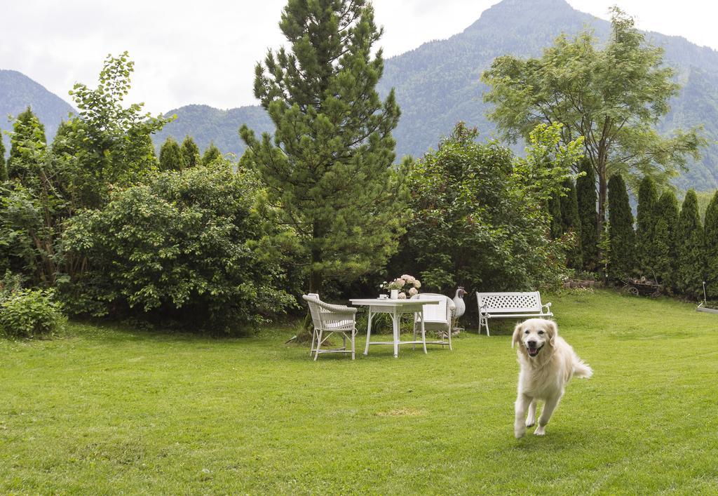 Forest Chalet, 15 Min To Salzburg Olt Town, And Most Beautiful Lakes, Secluded Location, 1,000 Sqm Garden, Mountainview, Panorama Sauna, Bath Whirlpool, Bbq&Bikes&Sunbeds For Free, Up To 10 P Golling an der Salzach Exteriör bild