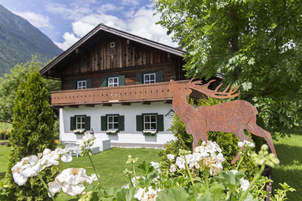 Forest Chalet, 15 Min To Salzburg Olt Town, And Most Beautiful Lakes, Secluded Location, 1,000 Sqm Garden, Mountainview, Panorama Sauna, Bath Whirlpool, Bbq&Bikes&Sunbeds For Free, Up To 10 P Golling an der Salzach Exteriör bild