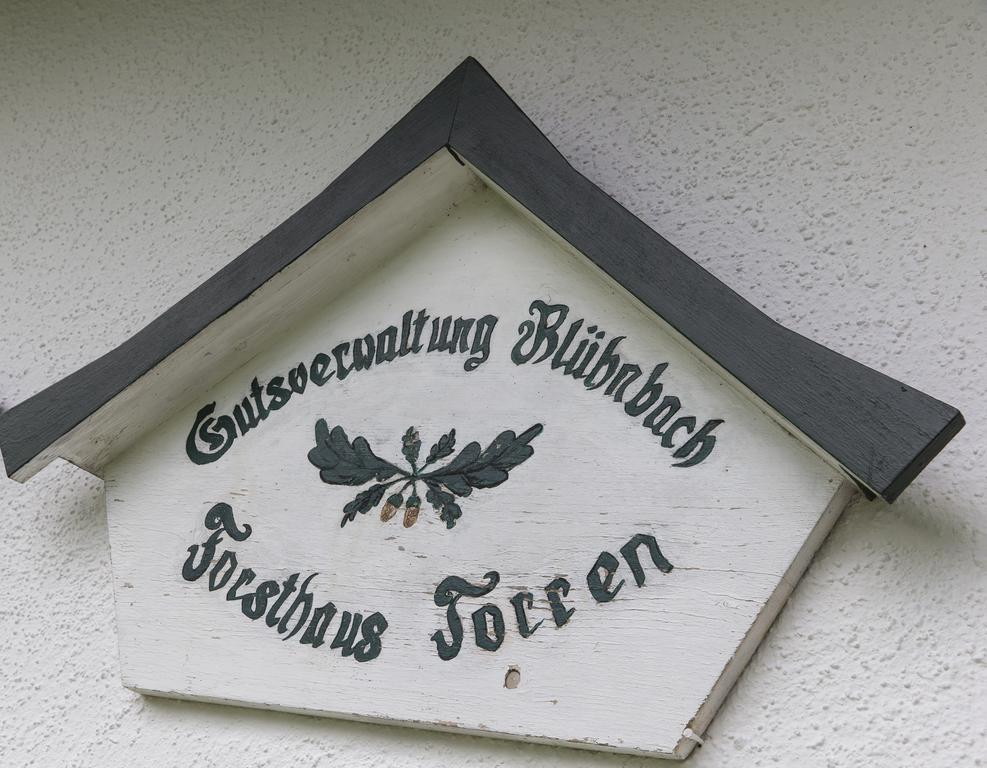 Forest Chalet, 15 Min To Salzburg Olt Town, And Most Beautiful Lakes, Secluded Location, 1,000 Sqm Garden, Mountainview, Panorama Sauna, Bath Whirlpool, Bbq&Bikes&Sunbeds For Free, Up To 10 P Golling an der Salzach Exteriör bild