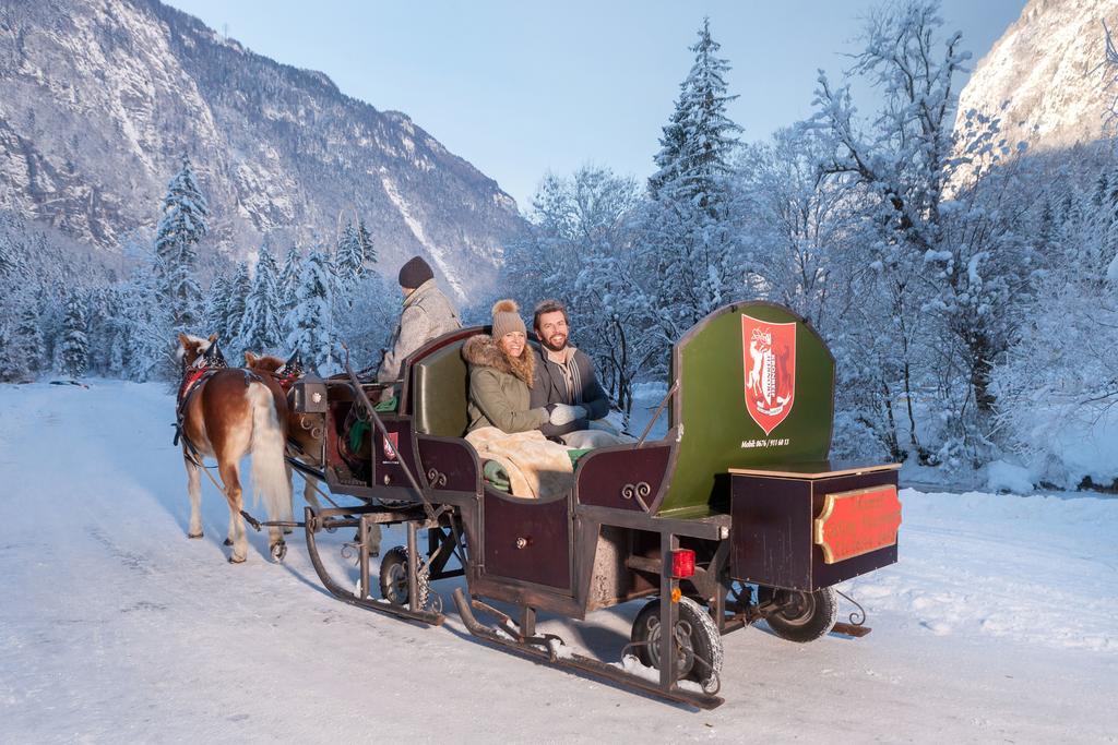 Forest Chalet, 15 Min To Salzburg Olt Town, And Most Beautiful Lakes, Secluded Location, 1,000 Sqm Garden, Mountainview, Panorama Sauna, Bath Whirlpool, Bbq&Bikes&Sunbeds For Free, Up To 10 P Golling an der Salzach Exteriör bild