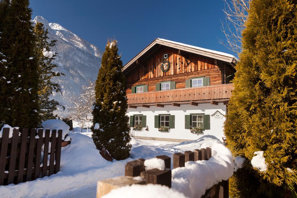 Forest Chalet, 15 Min To Salzburg Olt Town, And Most Beautiful Lakes, Secluded Location, 1,000 Sqm Garden, Mountainview, Panorama Sauna, Bath Whirlpool, Bbq&Bikes&Sunbeds For Free, Up To 10 P Golling an der Salzach Exteriör bild