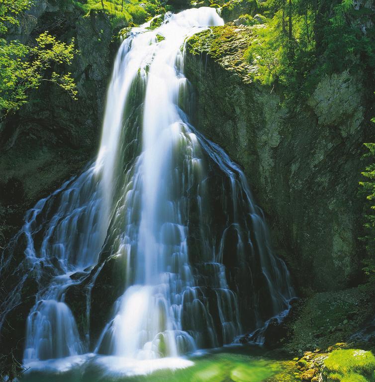 Forest Chalet, 15 Min To Salzburg Olt Town, And Most Beautiful Lakes, Secluded Location, 1,000 Sqm Garden, Mountainview, Panorama Sauna, Bath Whirlpool, Bbq&Bikes&Sunbeds For Free, Up To 10 P Golling an der Salzach Exteriör bild