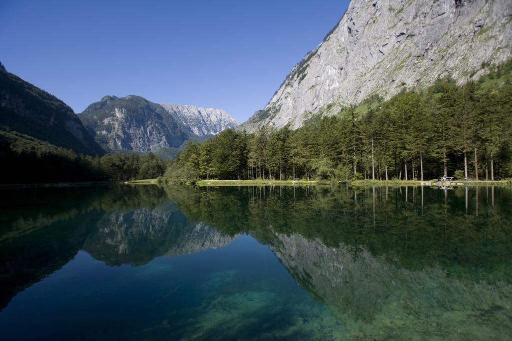 Forest Chalet, 15 Min To Salzburg Olt Town, And Most Beautiful Lakes, Secluded Location, 1,000 Sqm Garden, Mountainview, Panorama Sauna, Bath Whirlpool, Bbq&Bikes&Sunbeds For Free, Up To 10 P Golling an der Salzach Exteriör bild